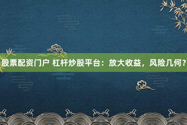 股票配资门户 杠杆炒股平台：放大收益，风险几何？