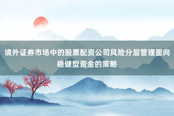 境外证券市场中的股票配资公司风险分层管理面向稳健型资金的策略